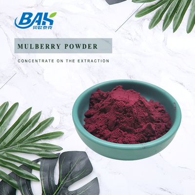 Morus Alba L Morberry Fruit Purple Powder W chłodnym i suchym miejscu