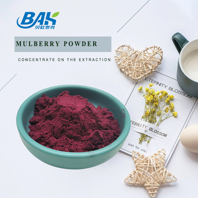 Morus Alba L Morberry Fruit Purple Powder W chłodnym i suchym miejscu
