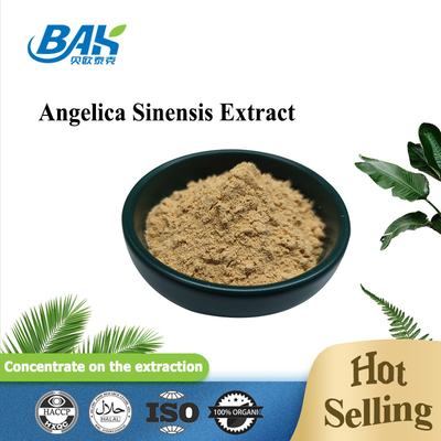 Chińska profesjonalna fabryka Dang Gui Angelica Sinensis Dong Quai Root Extract Powder Angelica Dahurica Extract
