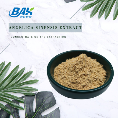 Chińska profesjonalna fabryka Dang Gui Angelica Sinensis Dong Quai Root Extract Powder Angelica Dahurica Extract