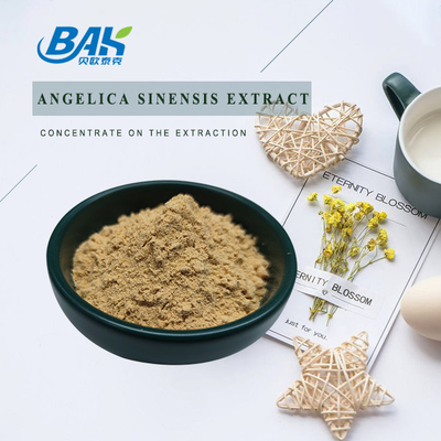Chińska profesjonalna fabryka Dang Gui Angelica Sinensis Dong Quai Root Extract Powder Angelica Dahurica Extract