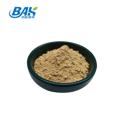 Chińska profesjonalna fabryka Dang Gui Angelica Sinensis Dong Quai Root Extract Powder Angelica Dahurica Extract
