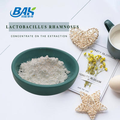 Lactobacillus Rhamnosus Proszek Naturalne dodatki do żywności 1kg/worek foliowy