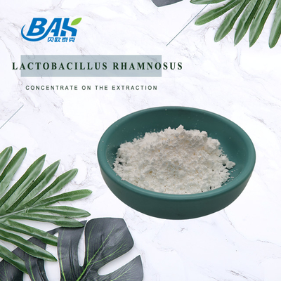 Lactobacillus Rhamnosus Proszek Naturalne dodatki do żywności 1kg/worek foliowy