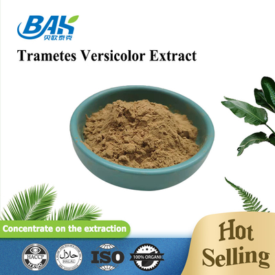 10% - 50% Trametes Versicolor Extract Powder Suplement z ekstraktem grzybów