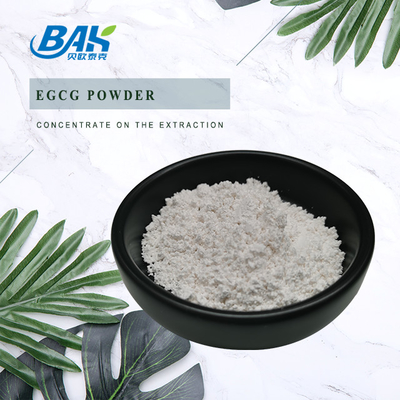 Ekstrakt z zielonej herbaty EGCG CAS NO 989-51-5 Epigallocatechin gallate 98% biały proszek