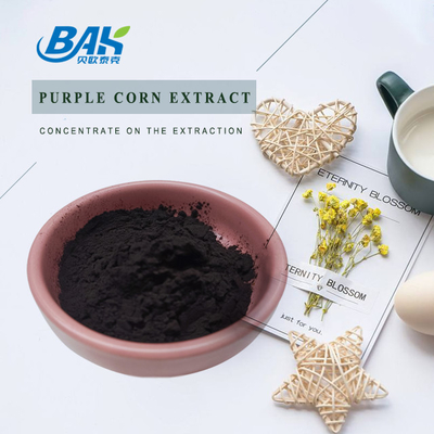 BAK Factory Wholesale Antocyanin 35% Zea Mays Purple Corn Extract Dark Purple Powder