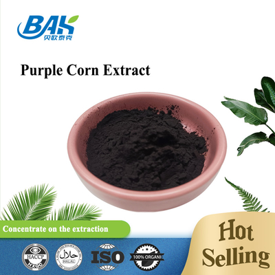 BAK Factory Wholesale Antocyanin 35% Zea Mays Purple Corn Extract Dark Purple Powder