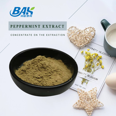 Fabryka hurtowa Ekstrakt mięty pieprzowej czystej Suplementy wzmacniające odporność na raka Mentha Haplocalyx Briq Brown Powder
