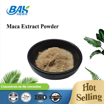 1kg Anti Fatigue Maca Extract Powder 10:1 20:1 Ciemnobrązowy proszek