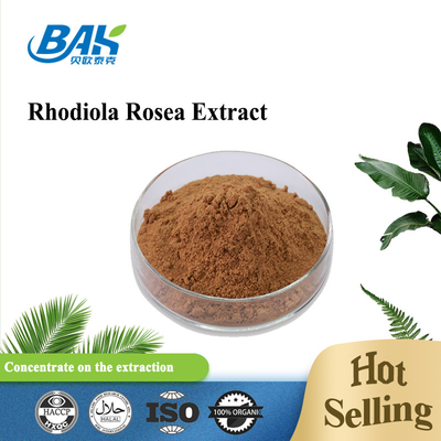 Organiczny męski suplement zdrowotny Rosavin 1% -10% Rhodiola Rosea L Ekstrakt z czerwonego brązowego proszku