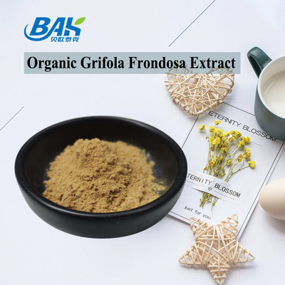 Ekstrakt organiczny z Grifola Frondosa Beta Glucan 70% Ekstrakt z grzybów Suplement UV VIS Powder