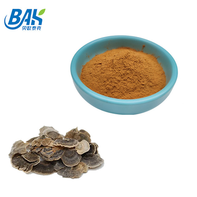 10% -50% Dodatek ekstraktu z Corioous Versicolor Mushroom Brązowy żółty proszek