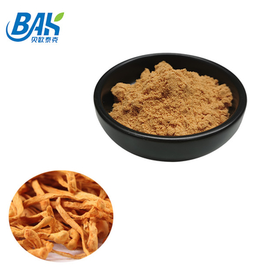 80 do 120 sieci Cordyceps Militaris Extract Powder Factory Supply