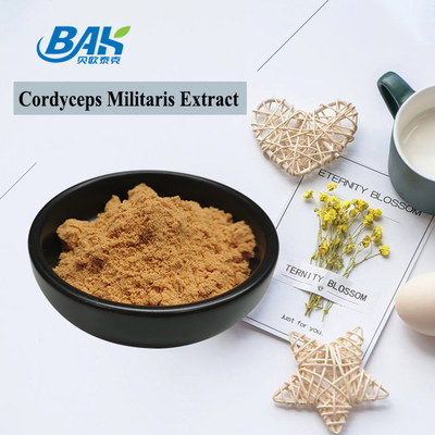 80 do 120 sieci Cordyceps Militaris Extract Powder Factory Supply