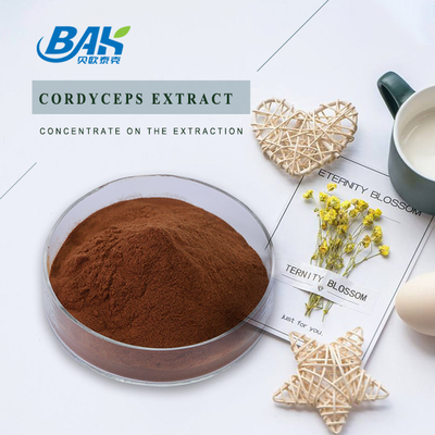 Cordycepin 5% 10% 20% Suplement zdrowotny dla mężczyzn Ekstrakt z kordycepsu Brązowy proszek