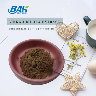 CAS 90045-36-6 Ekstrakt z Ginkgo Biloba Glikozydy flawonowe 24% Terpeny laktozy 6%