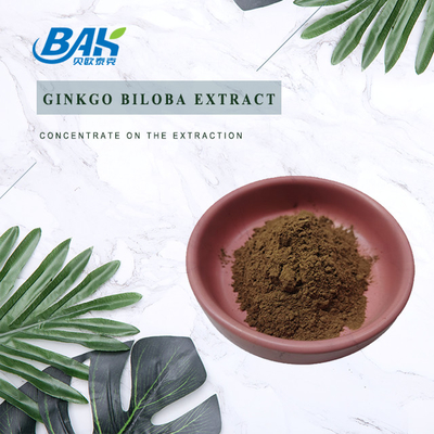 CAS 90045-36-6 Ekstrakt z Ginkgo Biloba Glikozydy flawonowe 24% Terpeny laktozy 6%