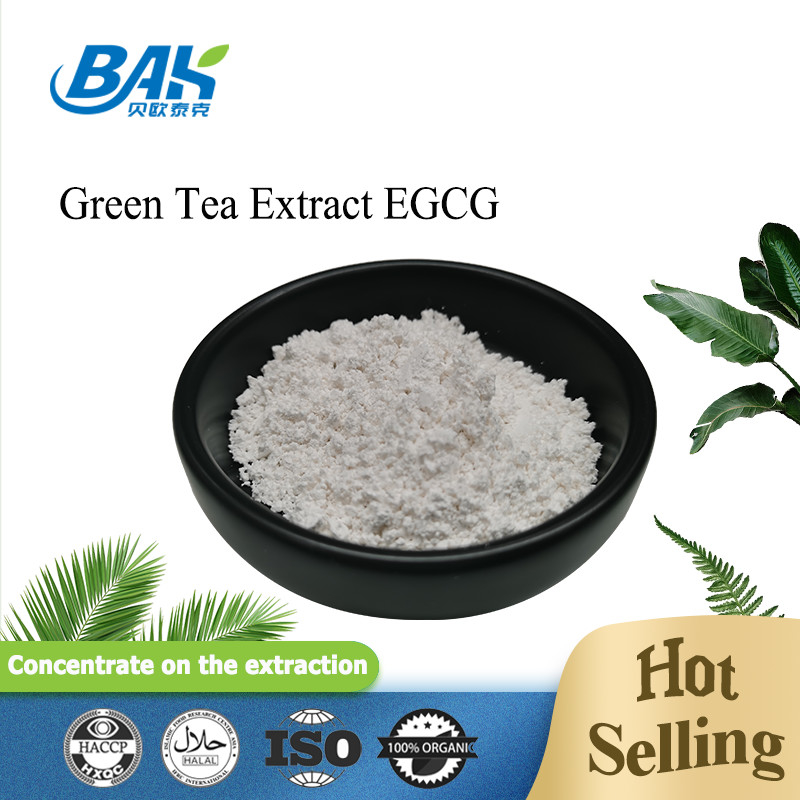 Ekstrakt z zielonej herbaty EGCG CAS NO 989-51-5 Epigallocatechin gallate 98% biały proszek