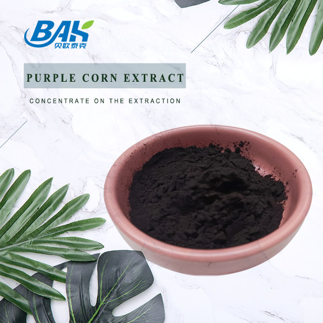 BAK Factory Wholesale Antocyanin 35% Zea Mays Purple Corn Extract Dark Purple Powder