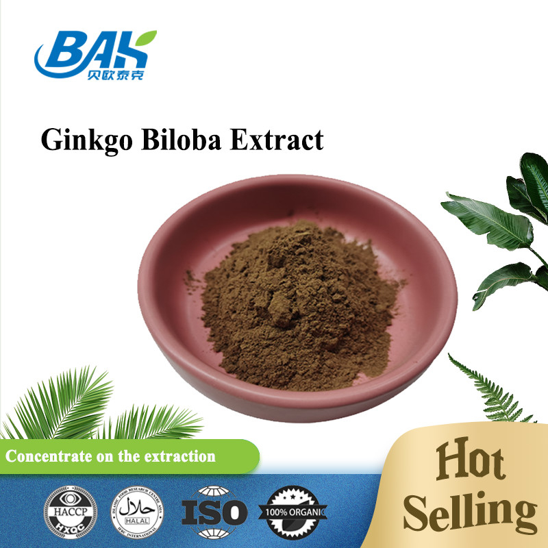 CAS 90045-36-6 Ekstrakt z Ginkgo Biloba Glikozydy flawonowe 24% Terpeny laktozy 6%