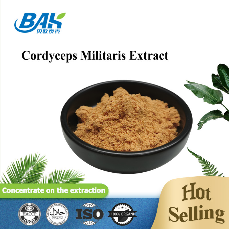 80 do 120 sieci Cordyceps Militaris Extract Powder Factory Supply