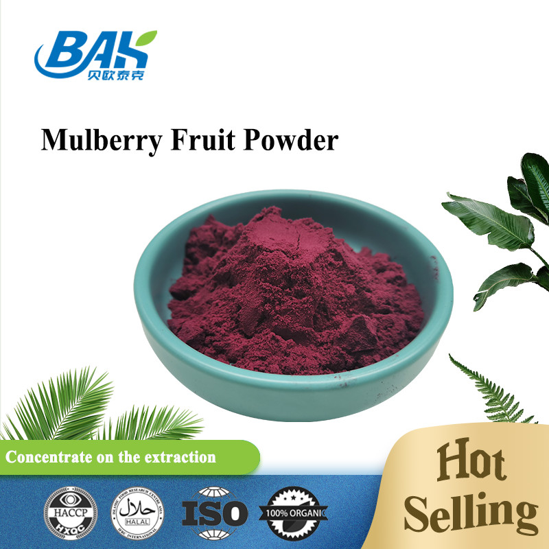 Morus Alba L Morberry Fruit Purple Powder W chłodnym i suchym miejscu